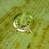 SPILLA PIN HUNGER GAMES KATNISS ORO V2 CATCHING FIRE RAGAZZA DI FUOCO OFFERTA