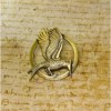 SPILLA PIN HUNGER GAMES CATCHING FIRE RAGAZZA DI FUOCO NUOVO FILM OFFERTA