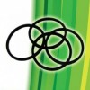 KIT DI 5 CINGHIA DI RICAMBIO ANELLO DI ALTA QUALITA' PER LETTORE DVD XBOX 360